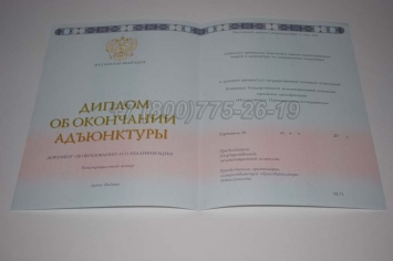 Диплом Адъюнктуры 2024г в Чите